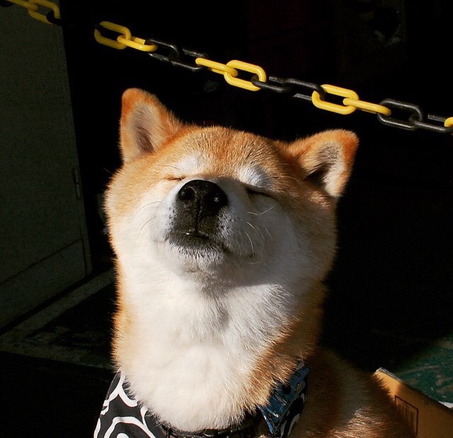 专业体能训练:球队如何提升整体战斗力?,球员体能训练