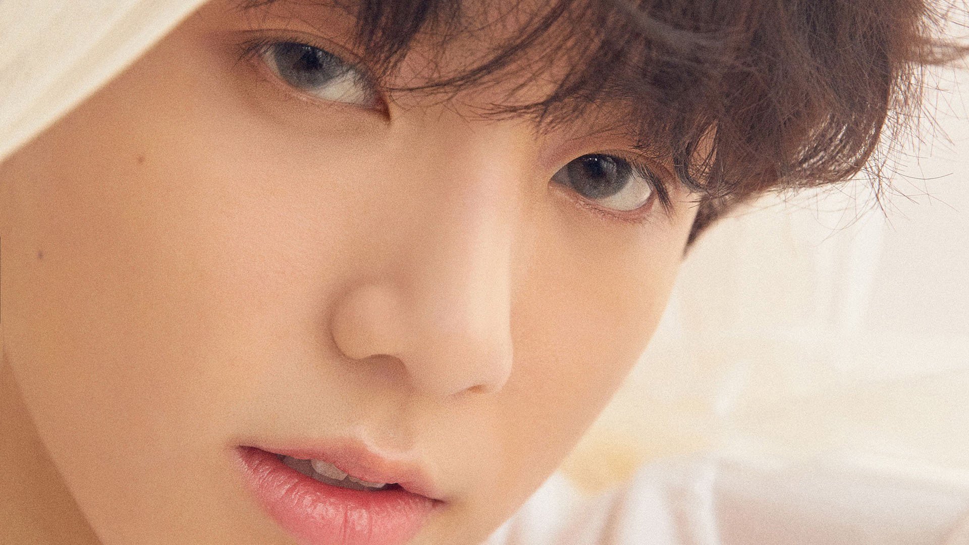 “无冕之王”:那些未夺冠却令人敬佩的球队,比赛里无冕之王什么意思