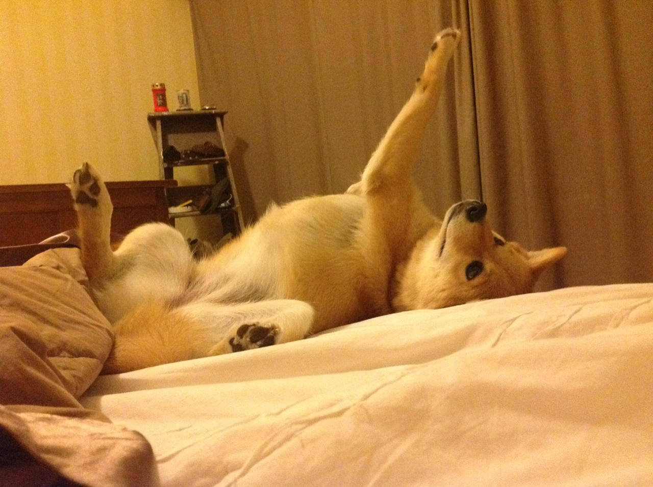 “流程深度：赛前战术布置全分析”，如何做好赛前战术心理准备