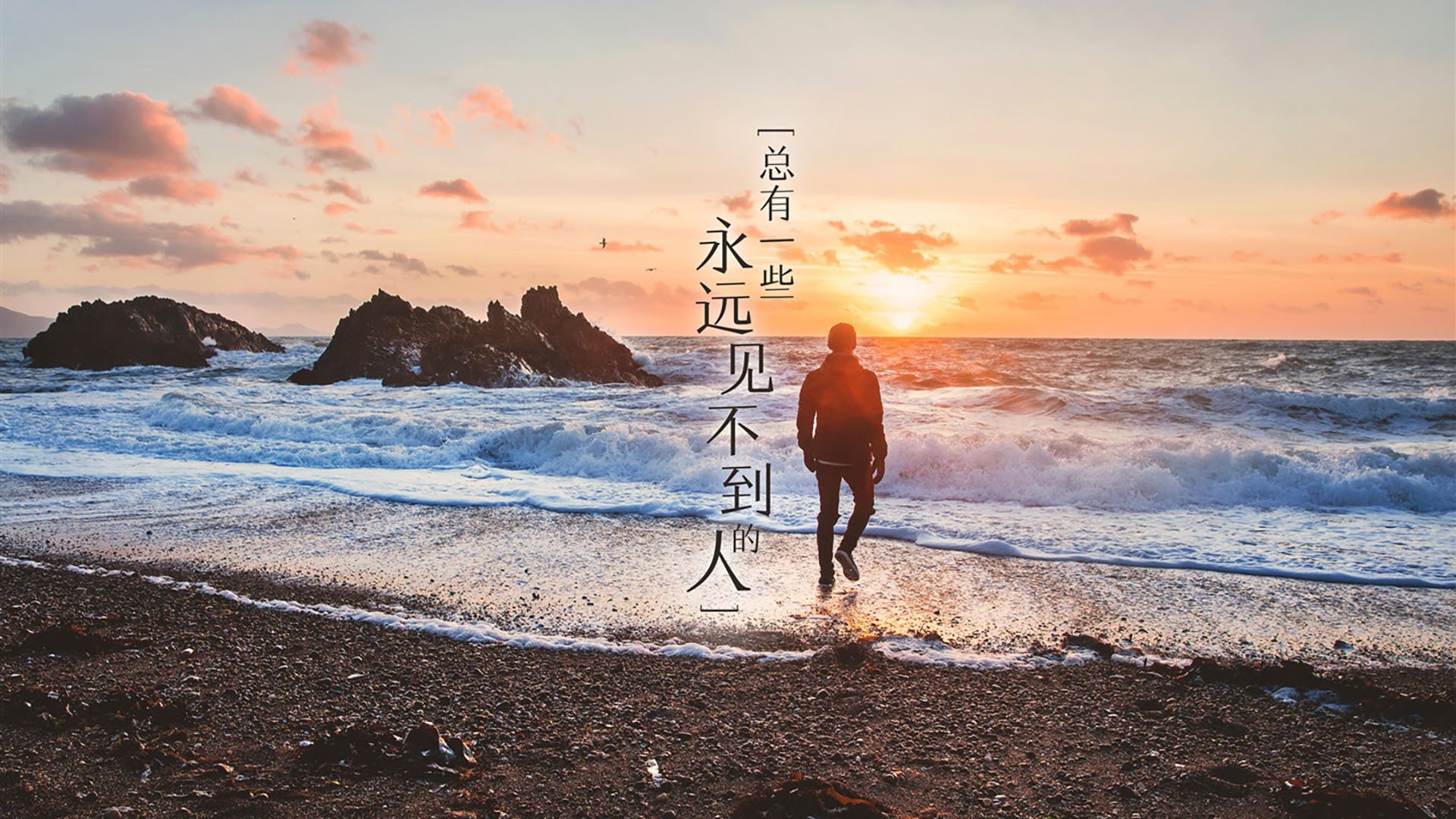 守望先锋 俱乐部加大选手培养力度，守望先锋队员